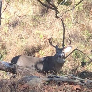 Meet your Posher, Sean